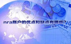nra賬戶的優(yōu)點和缺點有哪些？
