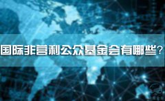 國際非營利公眾基金會有哪些？