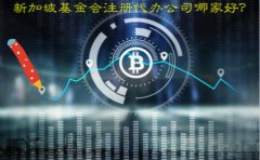 新加坡基金會注冊代辦公司哪家好？