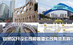 在國(guó)內(nèi)的自貿(mào)區(qū)開設(shè)公司和注冊(cè)香港公司有何不同？