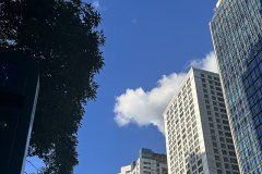 谷歌支付登陸沙特，支付寶于2026年接入，企業(yè)出海中東市場開辟新的合作機遇