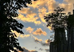 老撾公司注冊(cè)地址要求解析：虛擬地址的合規(guī)性說(shuō)明