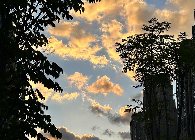 淺析未辦ODI擅自境外投資有什么后果